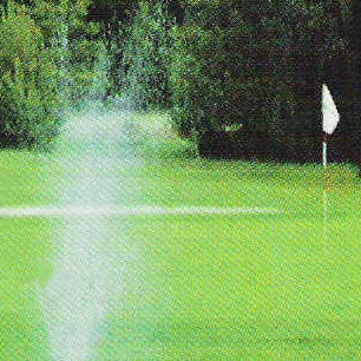 Drummond Island Golf Course in Drummond Island, Michigan, USA GolfPass