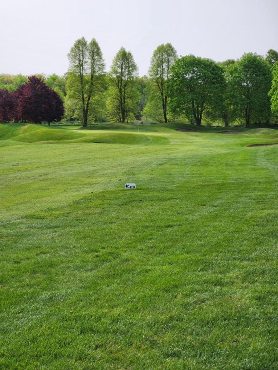 (Photo submitted by u773626659 on 05/23/2023)