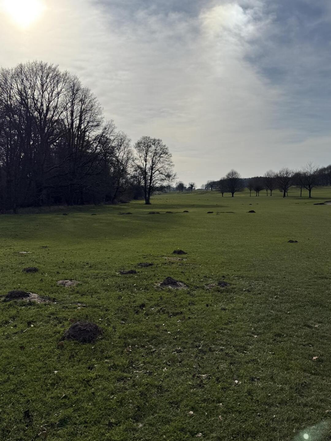 Mole Hills (Photo submitted by Roberto199 on 03/10/2025)