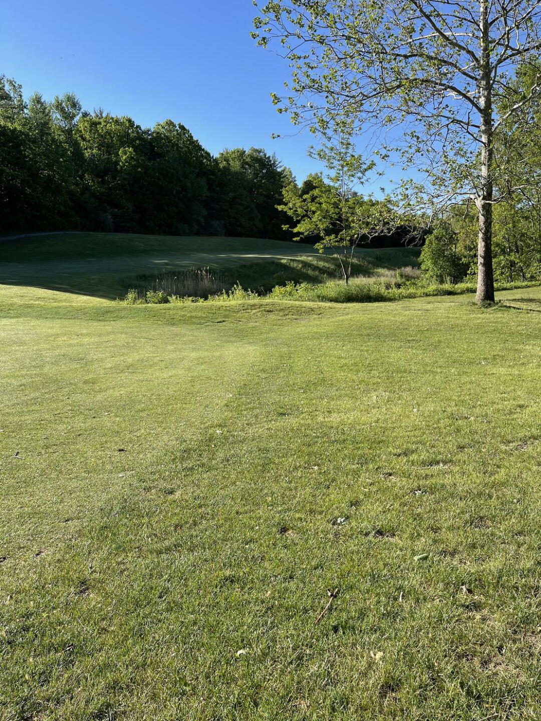 Tough fairway! (Photo submitted by u337423619 on 05/30/2021)