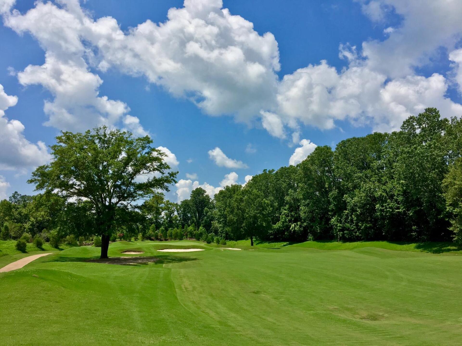Par 5, 2nd hole (Photo submitted by BrandonWebb on 07/07/2017)