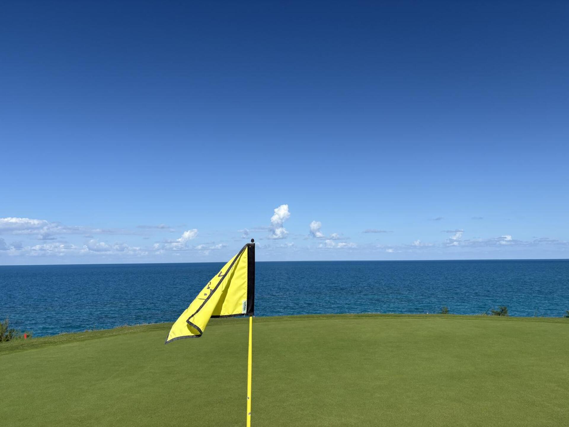 (Photo submitted by etuttle on 10/26/2024)