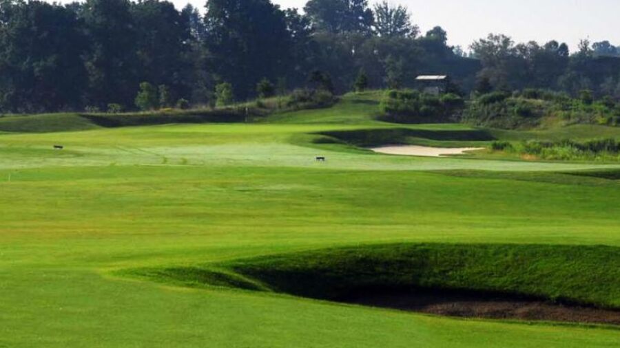 Grey Silo GC