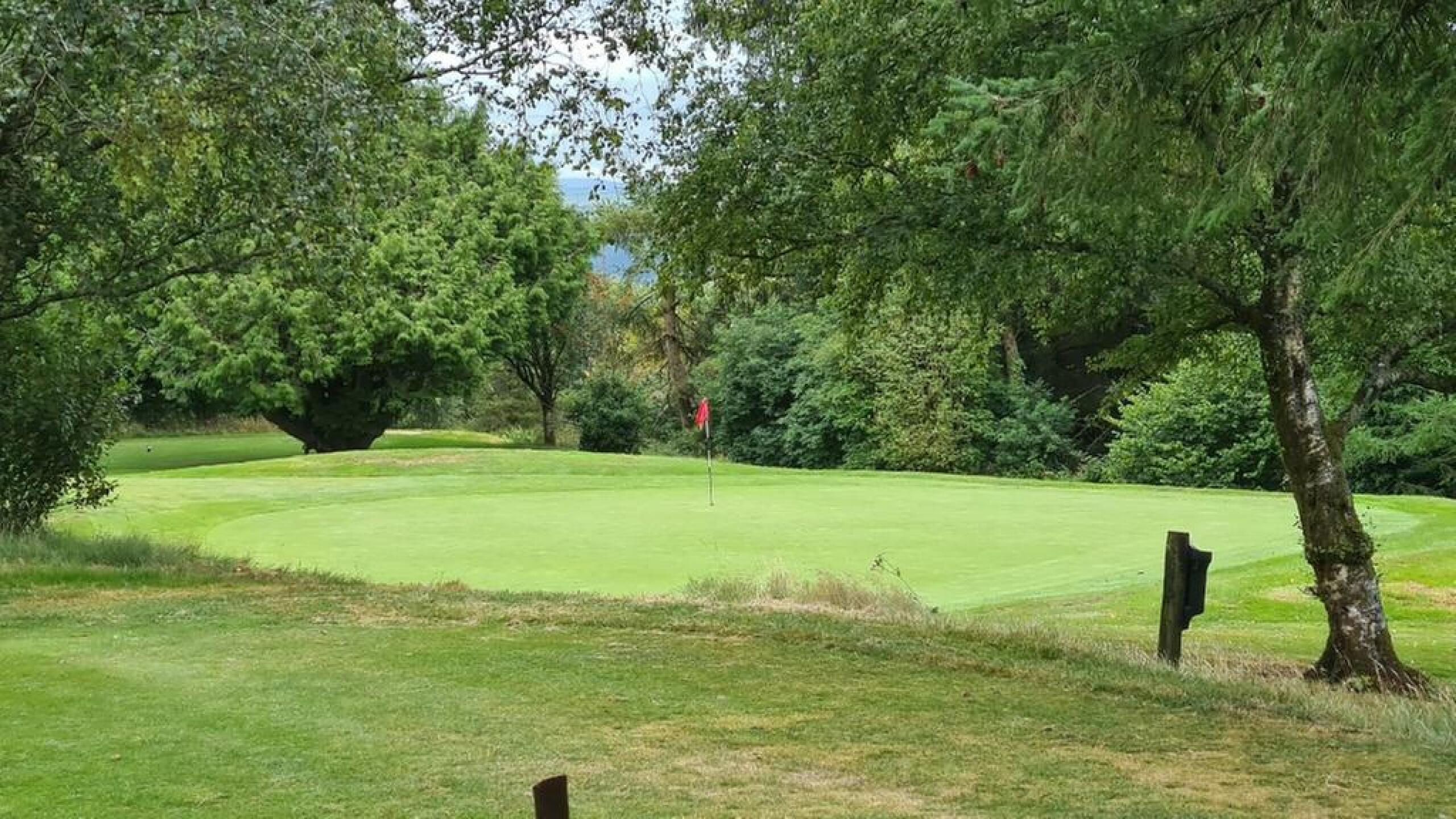 (Photo submitted by ljbd999 on 08/05/2020)