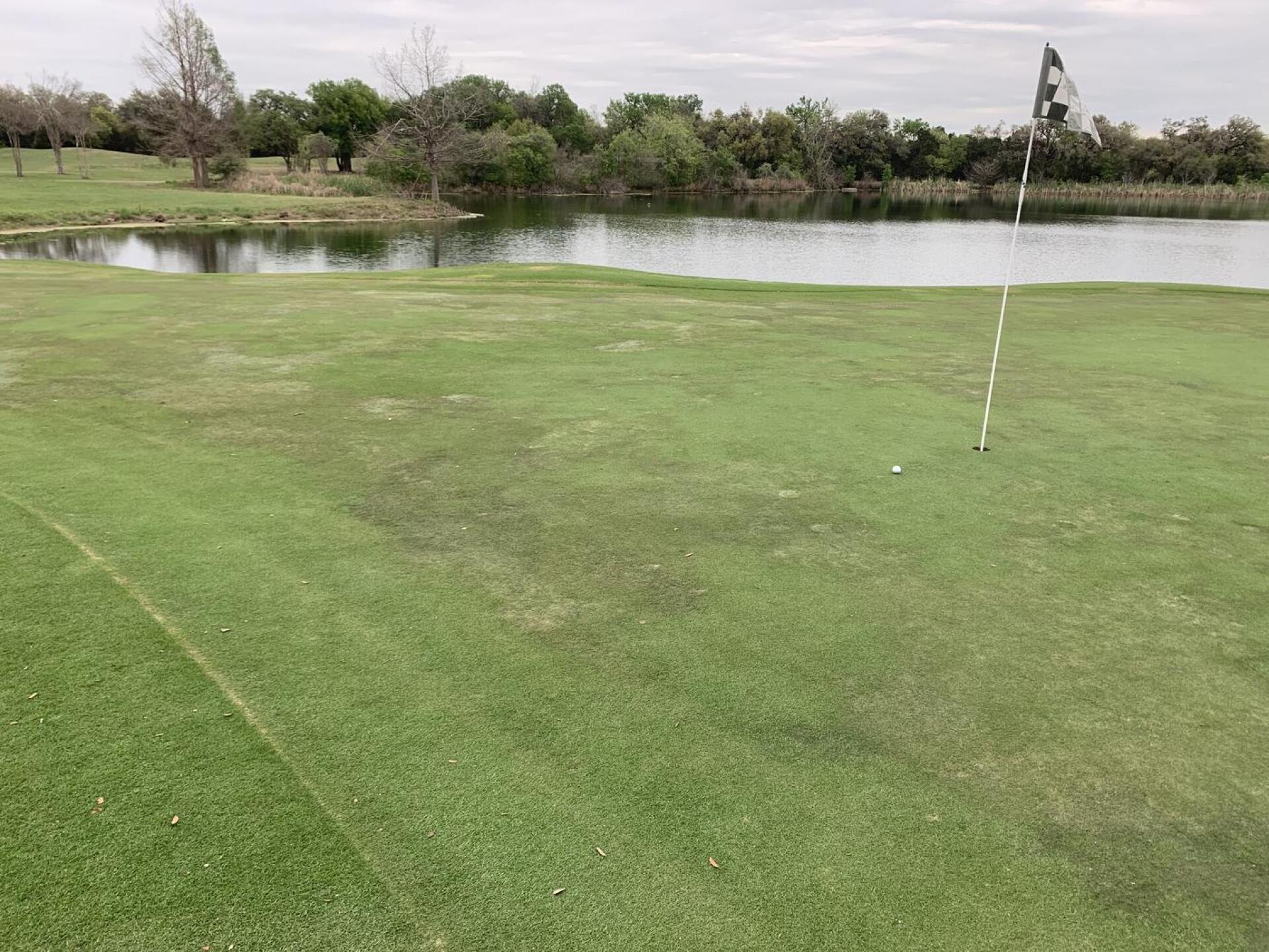 #9 green, right in front of the clubhouse was by far the best conditioned of the day! (Photo submitted by u547358672 on 03/15/2023)