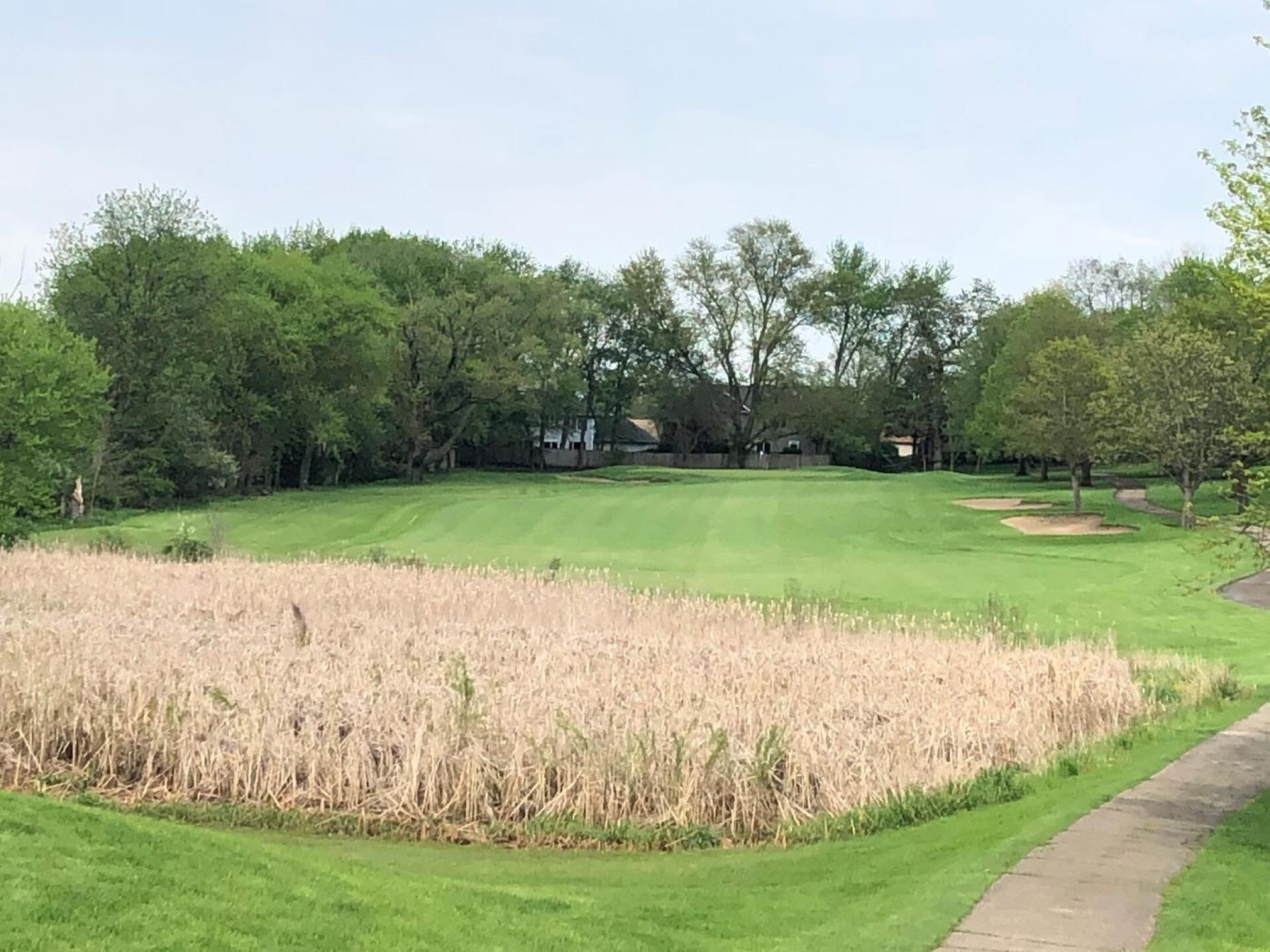 (Photo submitted by BryanTweed16 on 05/19/2020)