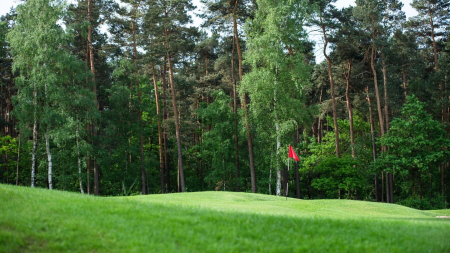 Burgdorfer GC - Short: #1