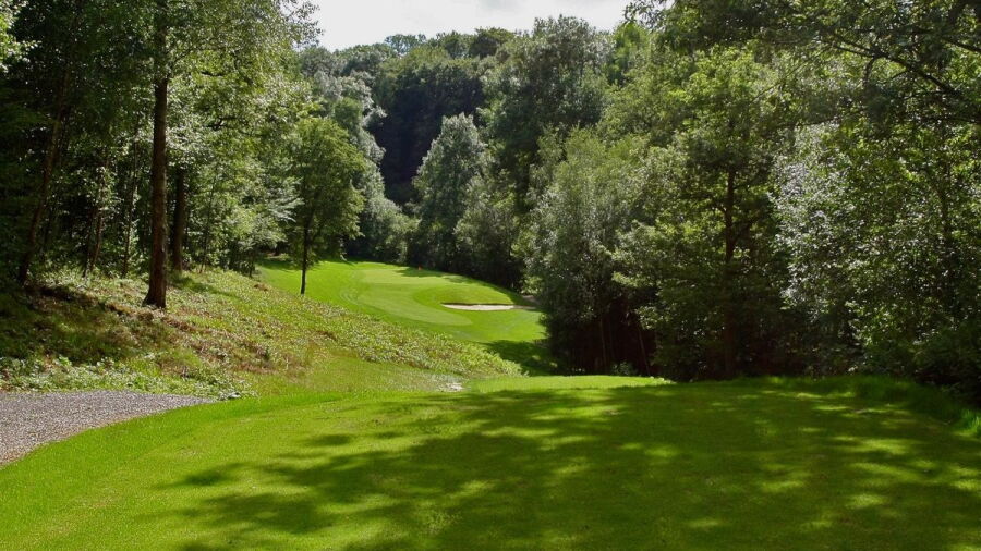 International Gomze GC: #7