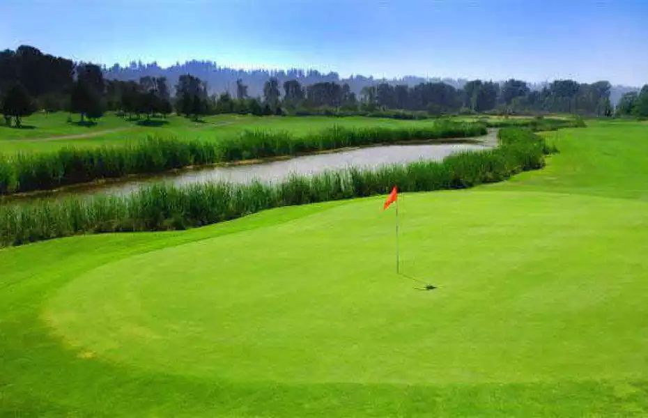 Sumner Meadows Golf Links in Sumner, Washington, USA GolfPass