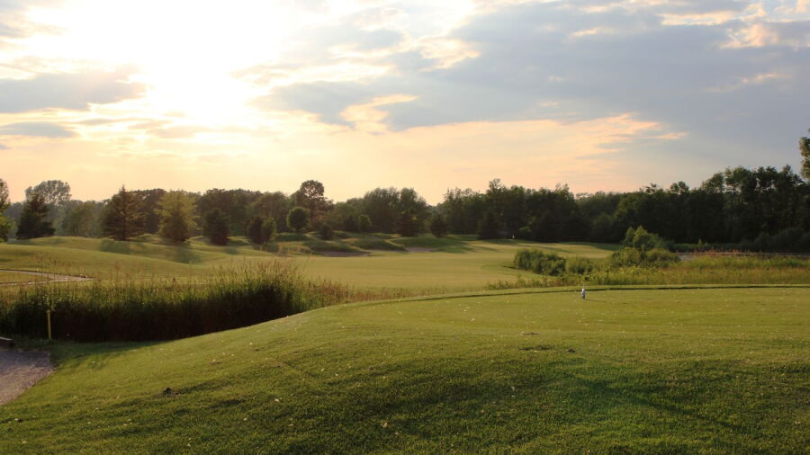 Blue at Mascoutin GC: #8