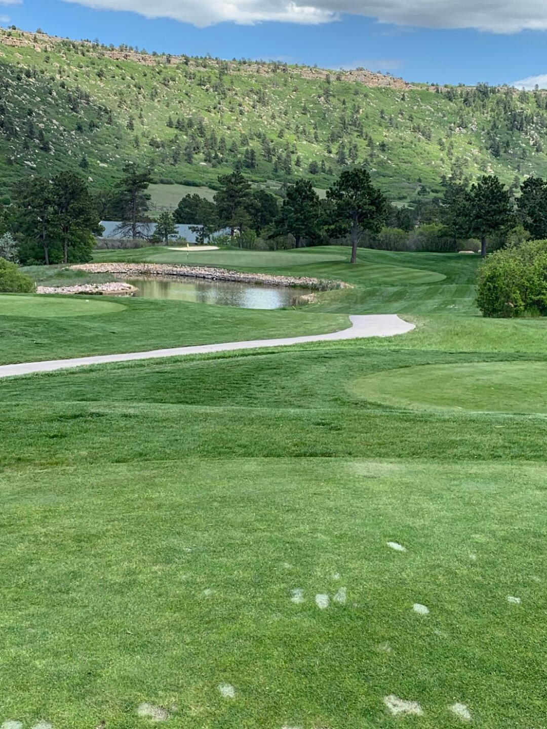 (Photo submitted by u340515415 on 06/14/2019)