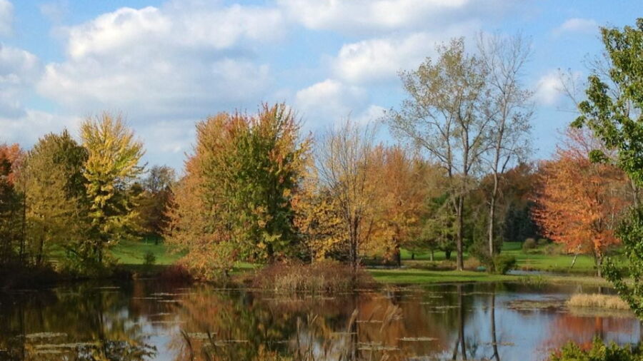 Ontario CC: #6