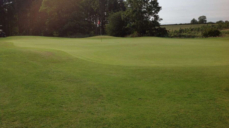 Matfen Hall GC: #8
