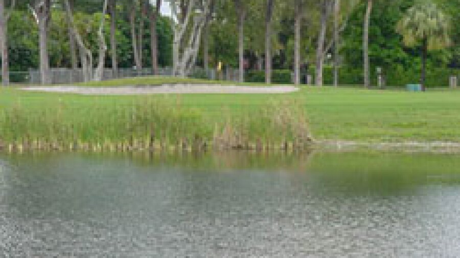 Inverrary Country Club - hole 16