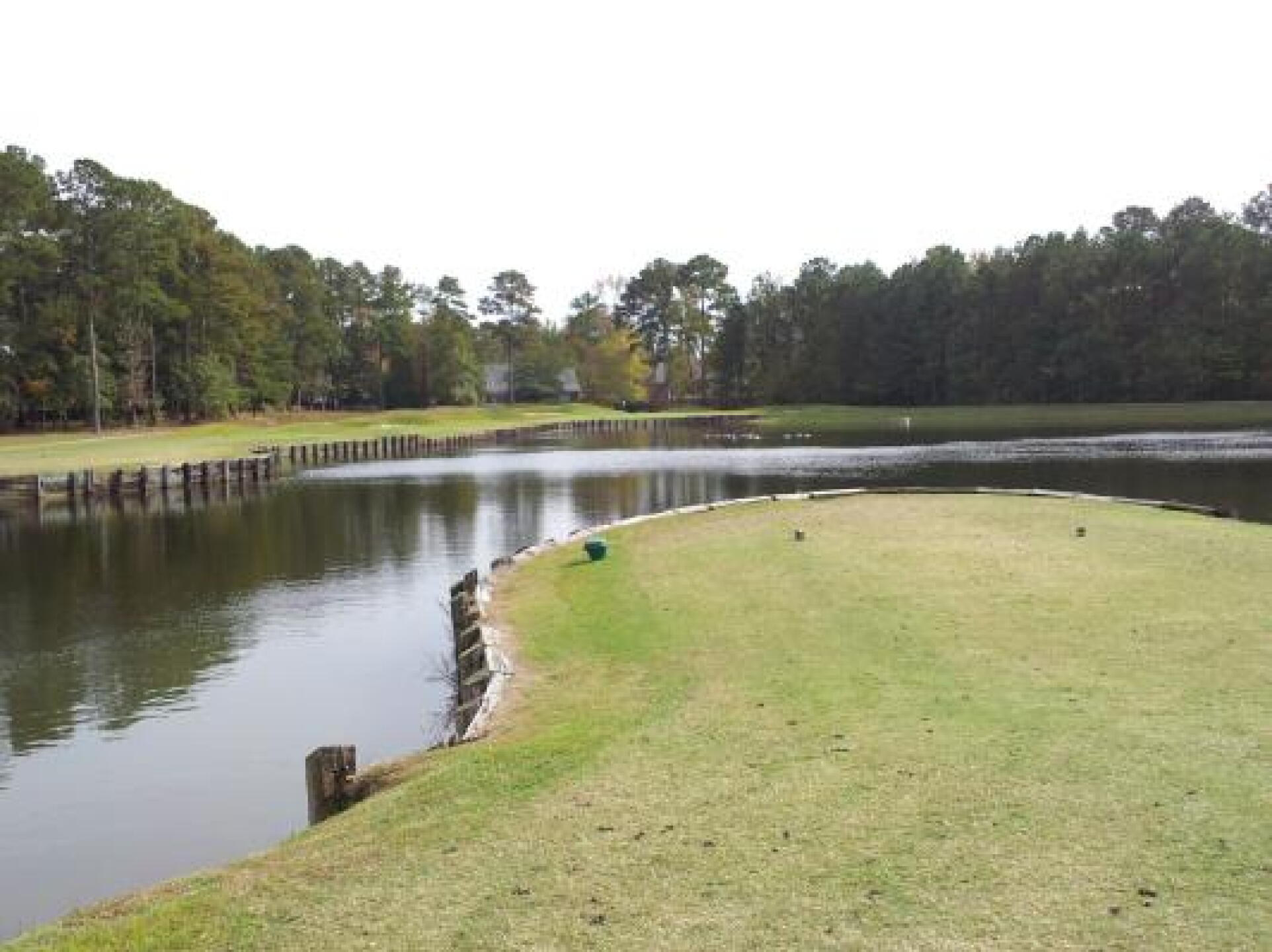 Long par 3 #9. 180 yards to carry water from the men's tee. (Photo submitted by baybayskidz on 10/31/2012)