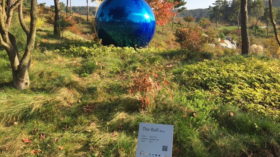 Whistling Rock Country Club - colored balls 