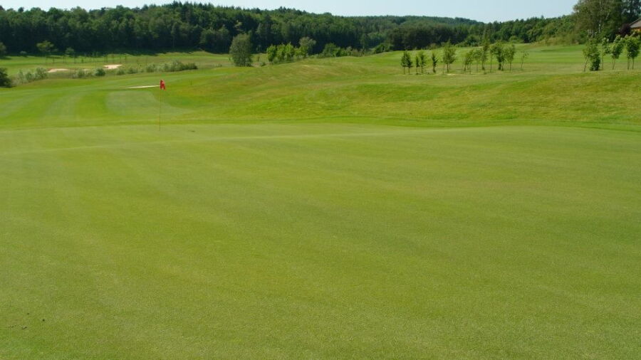Barbarossa GC Kaiserslautern: #2