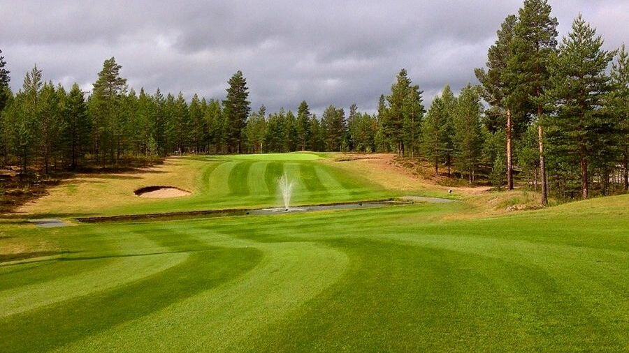 Norsjo GC: #8