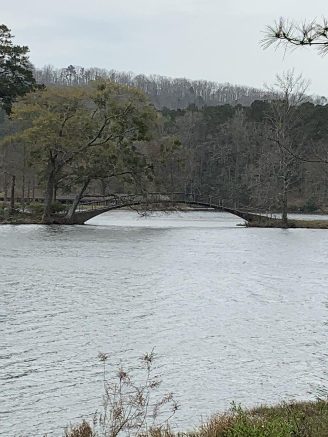 The bridge from the 9th green to the 10th tee (Photo submitted by David3274256 on 04/01/2021)