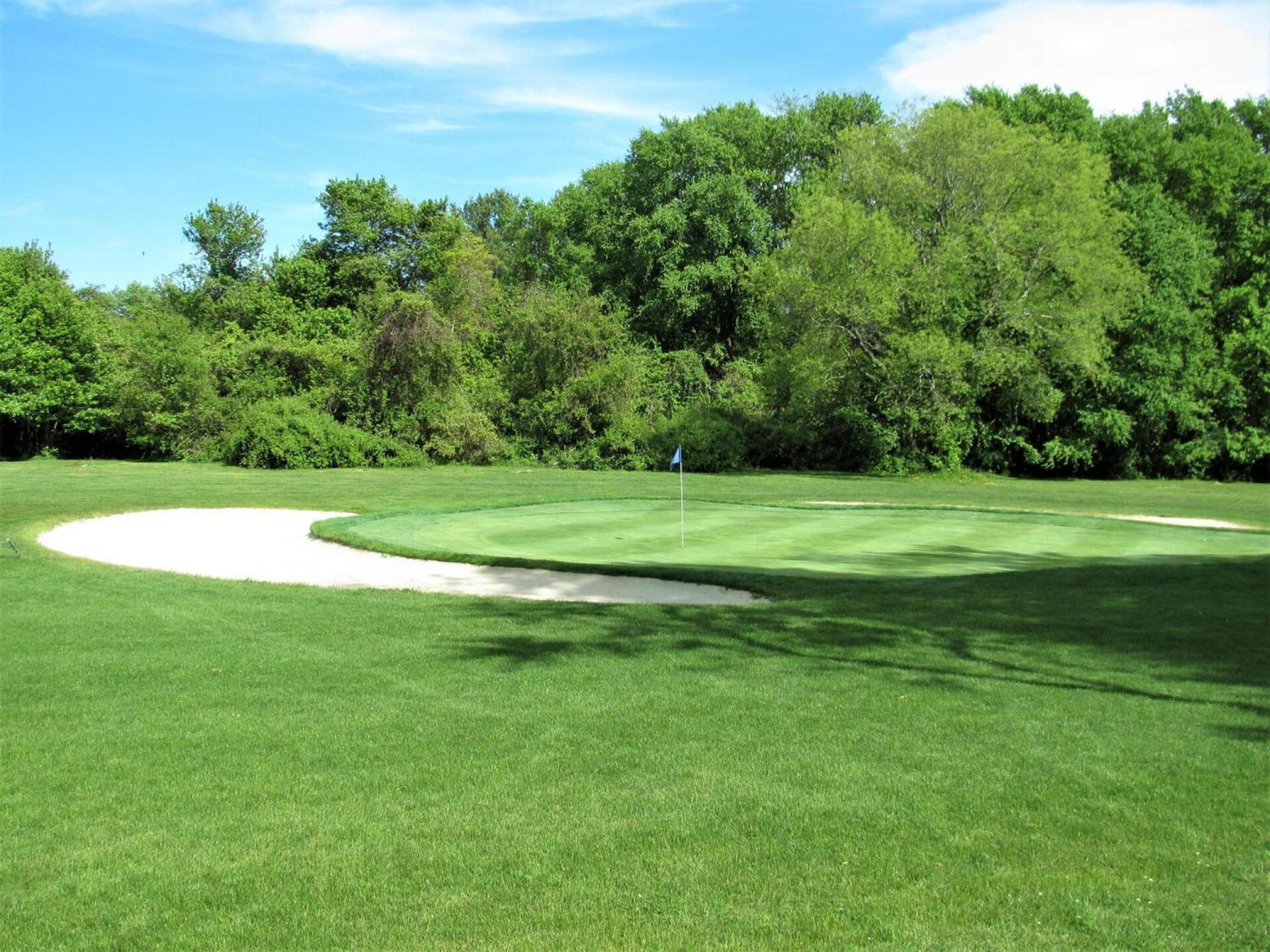 12: No picture can capture the elegance of the par-3 12th, but I tried. It looks a bit Augusta-like, save for the flattish terrain. (Photo submitted by AptlyLinked on 05/29/2020)