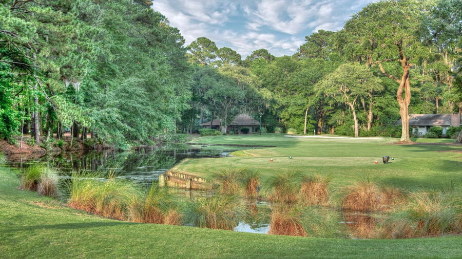 Dolphin Head GC: #4