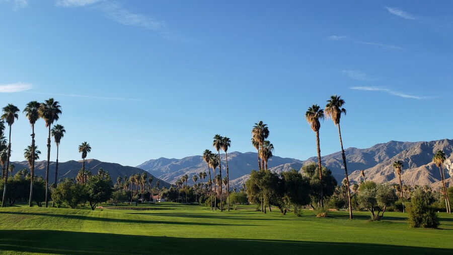 Mesquite GCC