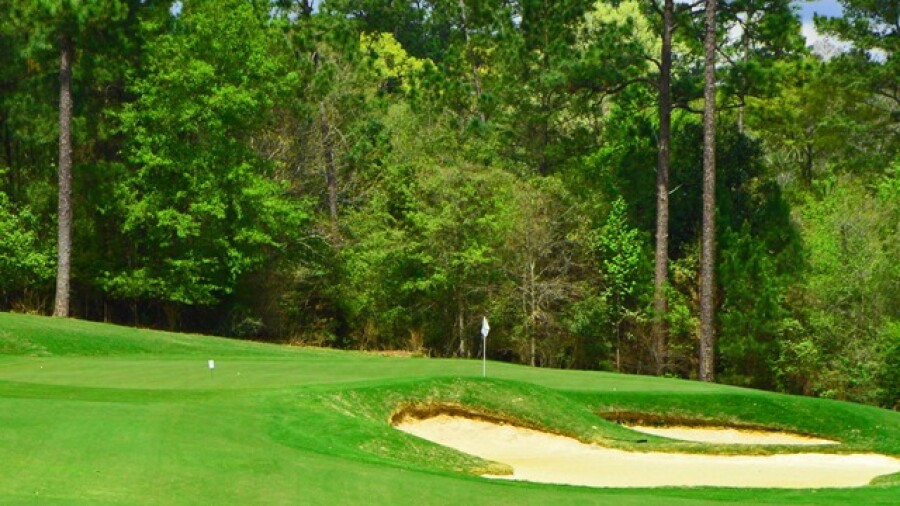 Grand Bear G.C. - 7th