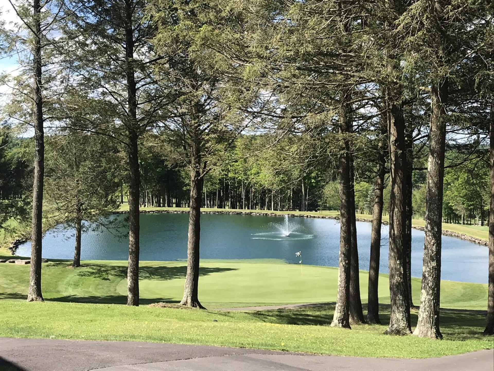 (Photo submitted by Ed5448675 on 06/11/2022)