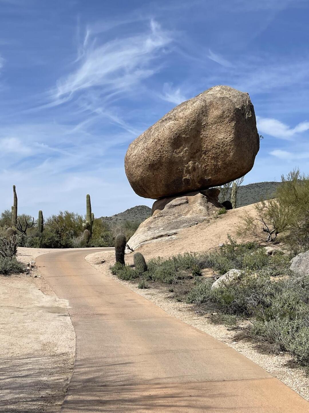 (Photo submitted by u695817606 on 03/06/2023)