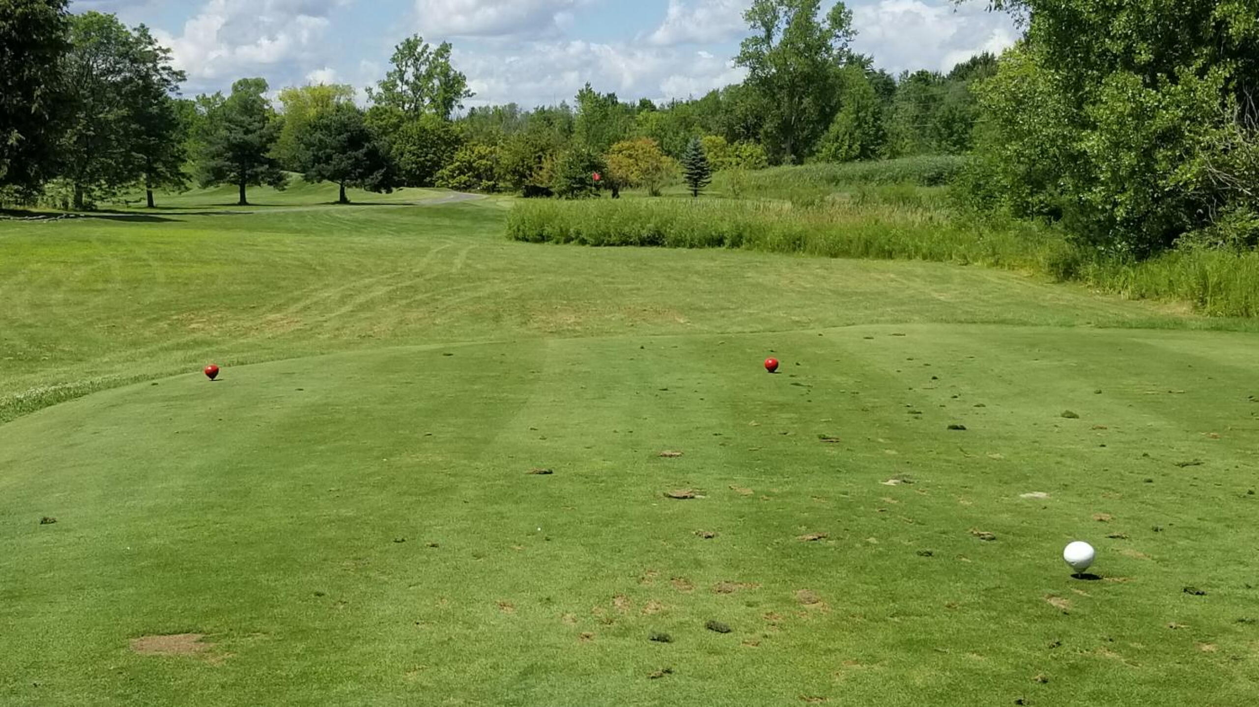 (Photo submitted by Dave8785735 on 08/11/2019)