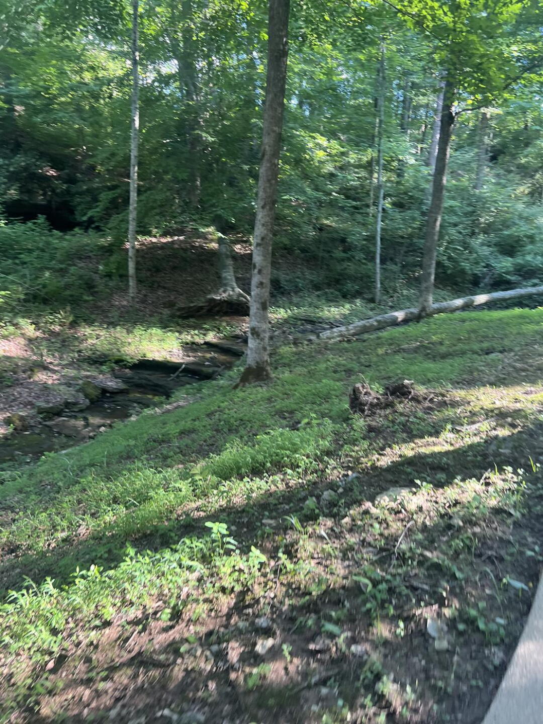 (Photo submitted by nicholas3285478 on 06/15/2026)