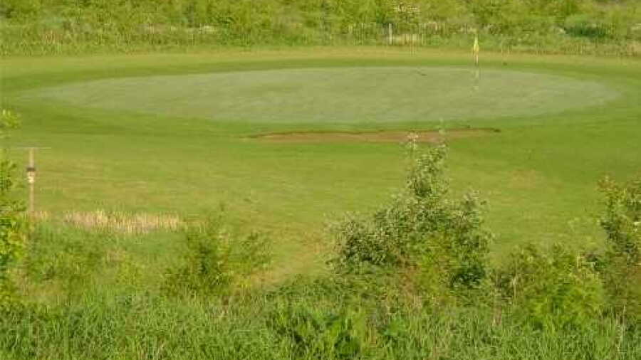 Stenerberg GC: #1