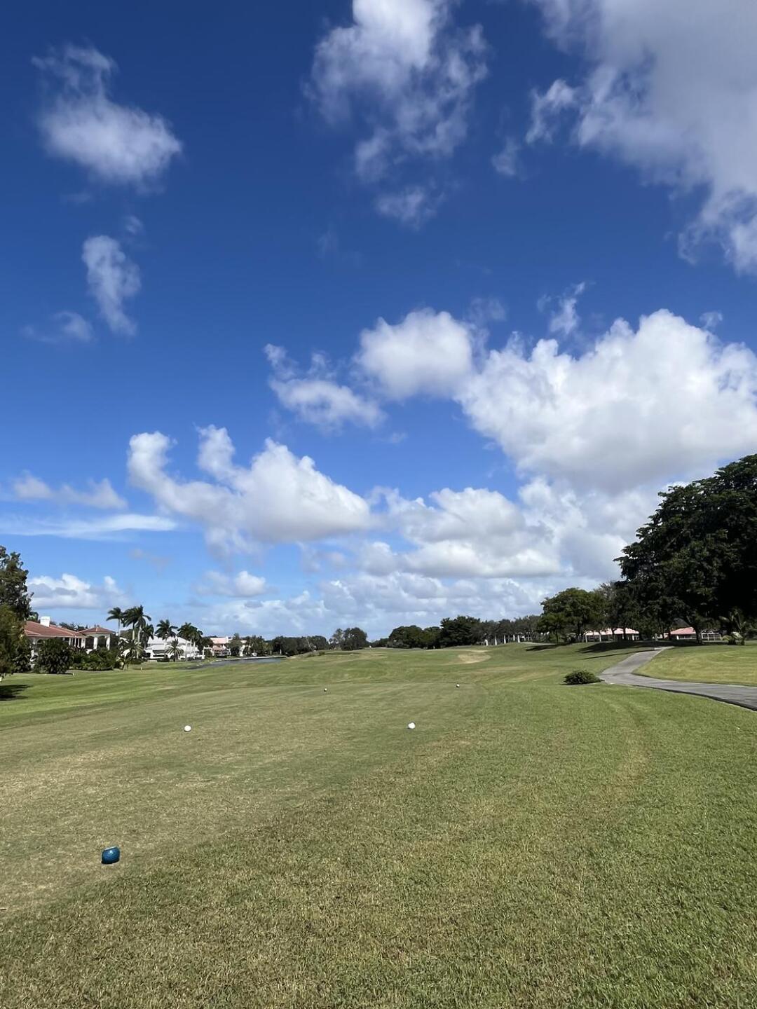 (Photo submitted by ANDRESCASAL on 10/20/2024)