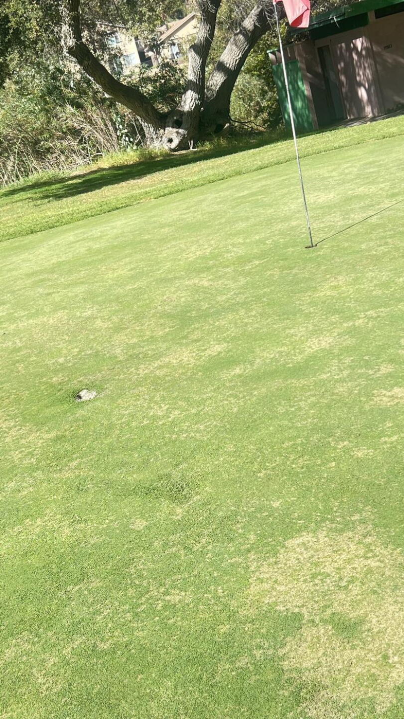 Lol the tee box , (Photo submitted by marco9591613 on 10/19/2024)