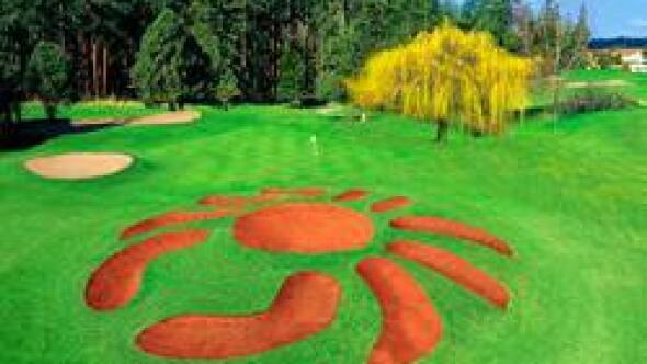 Bunker Mentality: There are some wild bunkers out there, including this crab-shaped one at the Cedars at Dungeness golf course in Sequim, Wash.