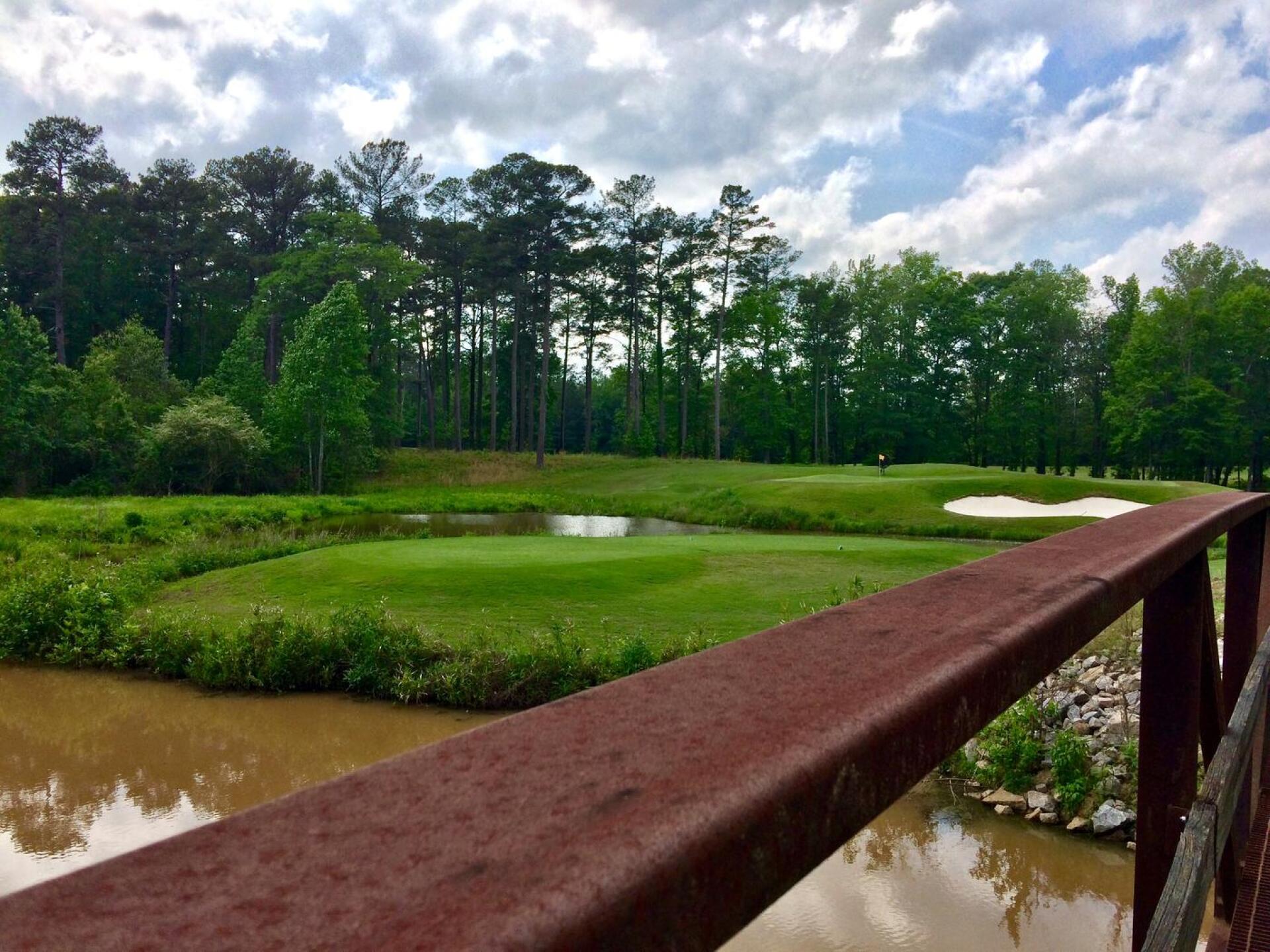 Par-3, 11th hole, Links course (Photo submitted by BrandonWebb on 04/29/2017)