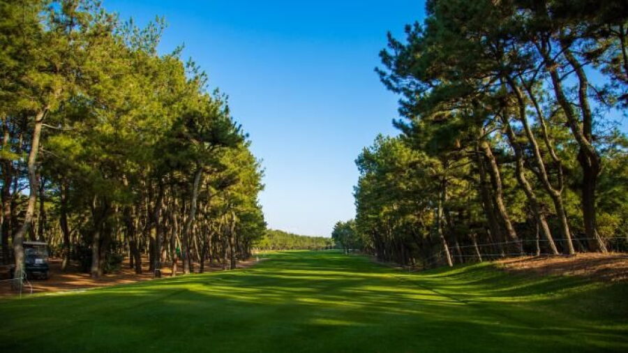 Phoenix CC - Sumiyoshi: #3