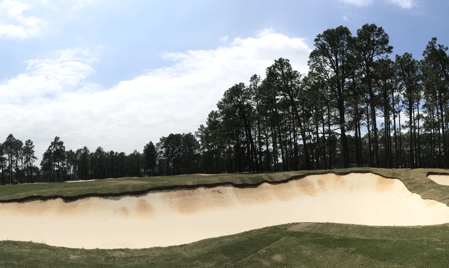 Pinehurst No. 4 renovation - No. 8