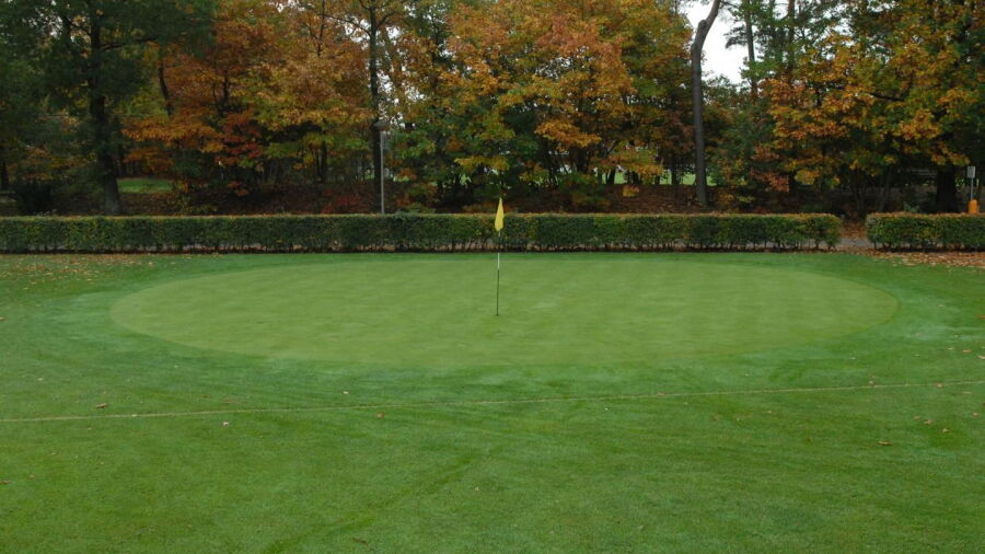 Valkenswaardse GC: #8