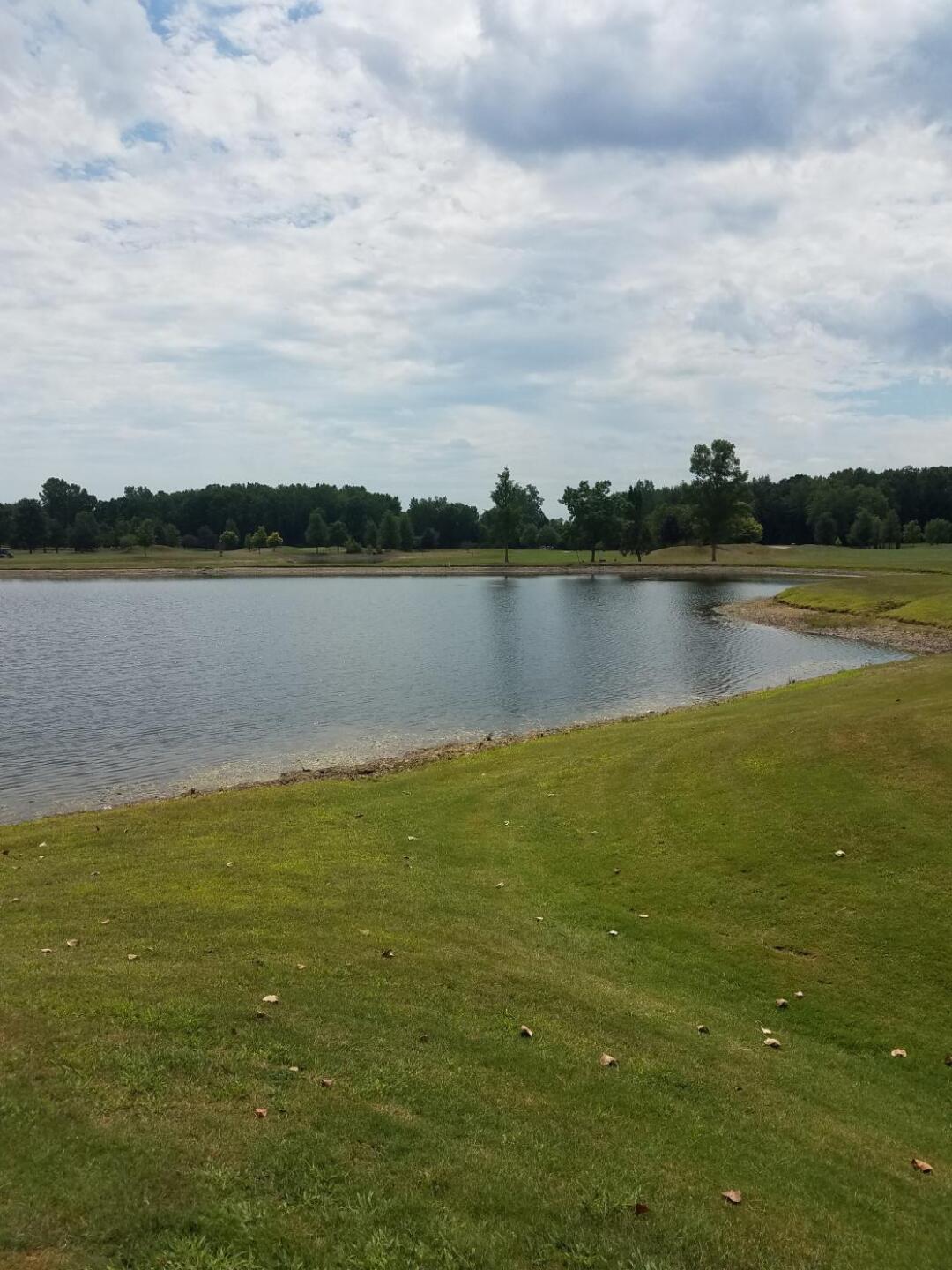 (Photo submitted by howardkhru on 08/13/2019)