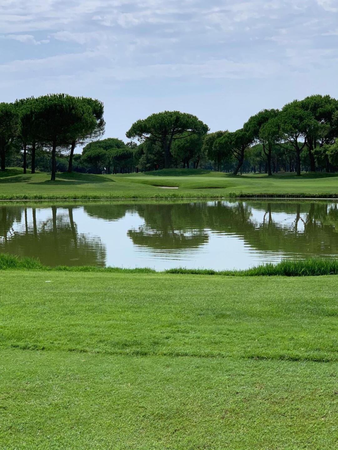 (Photo submitted by GDhcKsOPaT0mscRavymg on 08/23/2019)