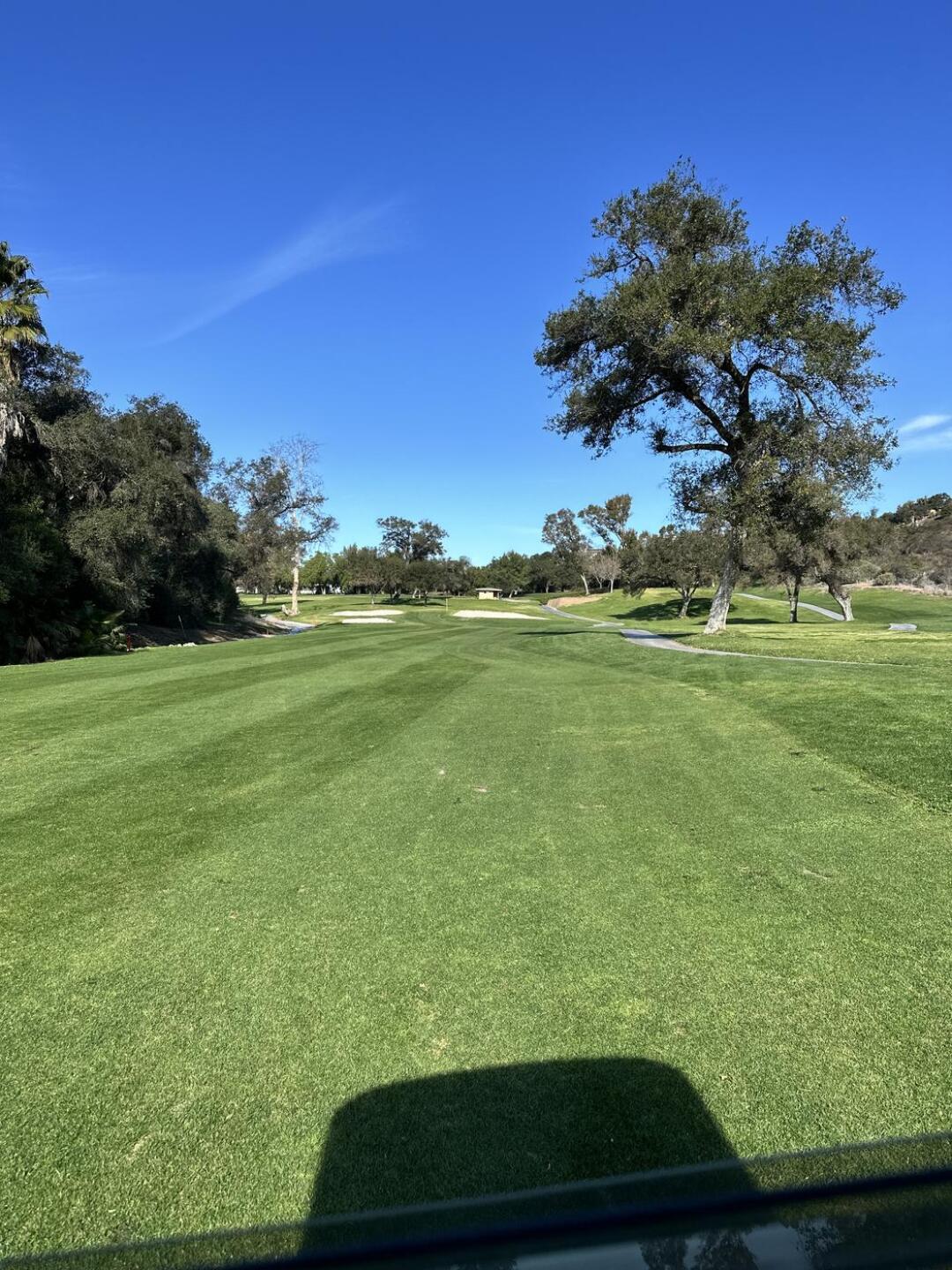 (Photo submitted by 9UAx4a4ZIGs11suJp2ki on 02/21/2025)