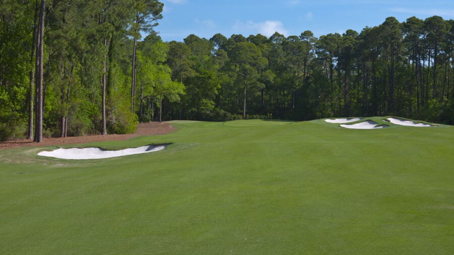 Wexford GC: #14