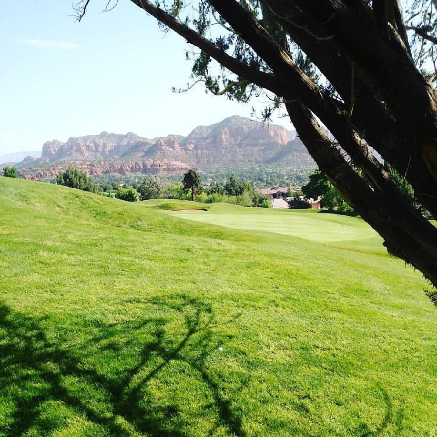 (Photo submitted by sorenj on 04/25/2017)