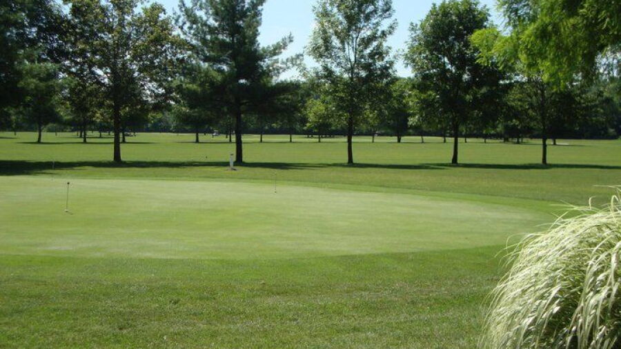 Cypress Run GC: practice area