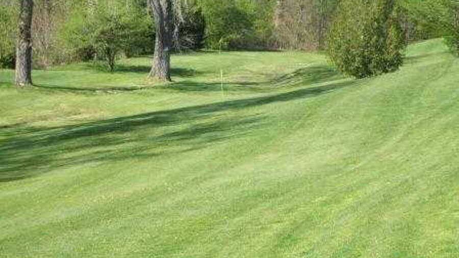 Wedgewood GC: #8