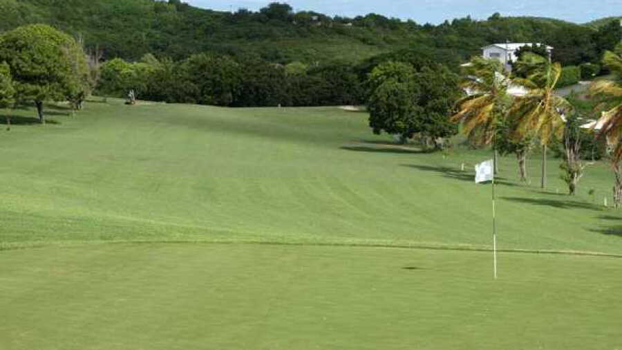 Cedar Valley GC: #17