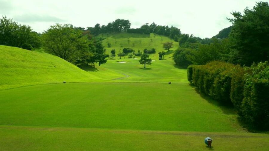 Ogawa CC - Middle: #5