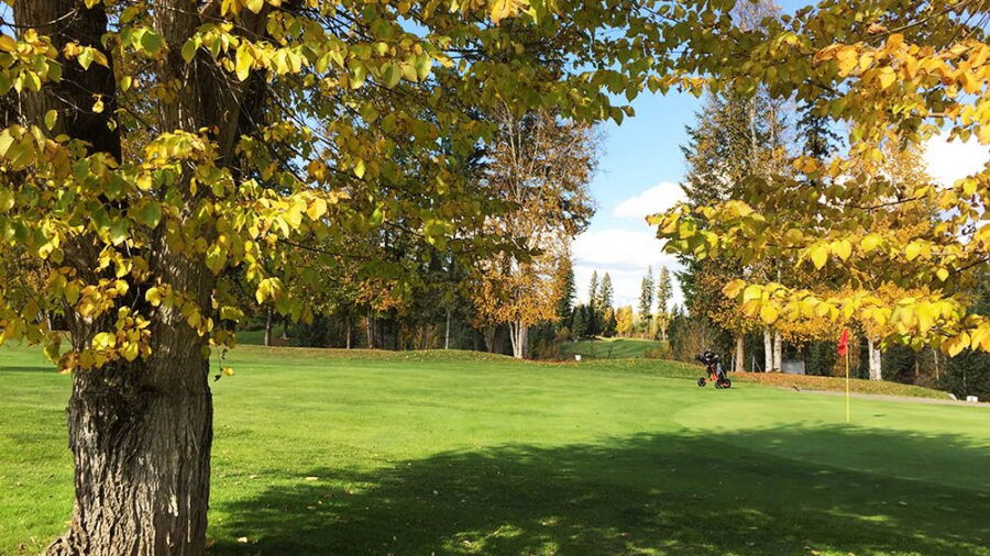 Quesnel GC