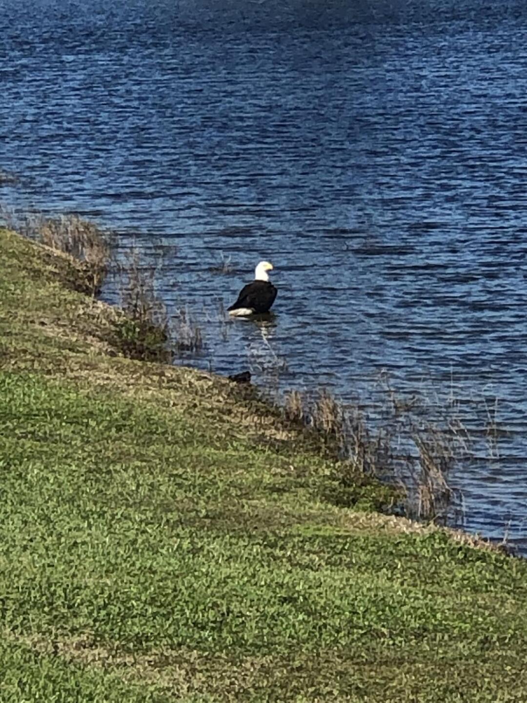 (Photo submitted by karl7274565 on 11/23/2020)